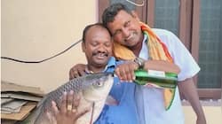 மீன் பீர் குடிக்கும் வீடியோ! ஆச்சரியத்தில் நெட்டிசன்கள்..வைரலாகும் வீடியோ