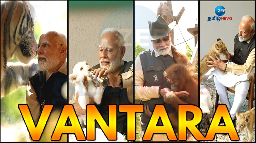 வன்தாரா வனவிலங்கு மீட்பு, மறுவாழ்வு பாதுகாப்பு மையத்தை திறந்து வைத்து பார்வையிட்ட பிரதமர் மோடி