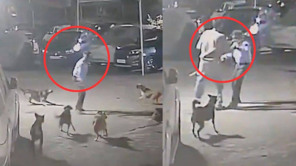 கடிக்க வந்த வெறி நாய்-தடுத்த முதியவரை அடித்த இளைஞர்! அதிர்ச்சியூட்டும் சிசிடிவி காட்சிகள்..