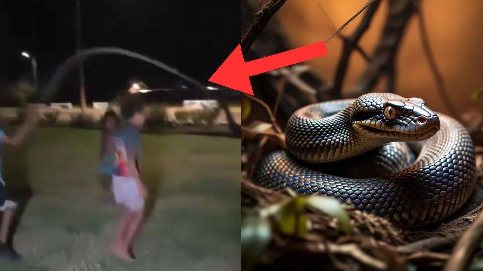 பயங்கர பாம்பை வைத்து ஸ்கிப்பிங் விளையாடிய குழந்தைகள்! வைரலாகும் வீடியோ..