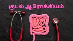 குடல் ஆரோக்கியம் சிறப்பாக இருக்க... தேவையான சில ஊட்டச்சத்துக்களும்... சில உணவுகளும்