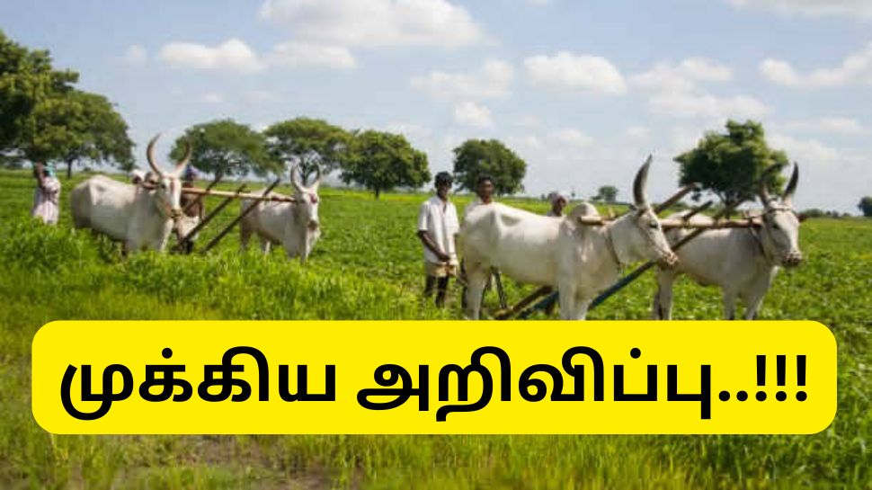 தஞ்சாவூர், திருப்பத்தூர் மாவட்ட விவசாயிகளுக்கு தமிழ்நாடு அரசு வெளியிட்ட குட் நியூஸ்..! தஞ்சாவூர், திருப்பத்தூர் மாவட்ட விவசாயிகளுக்கு தமிழ்நாடு அரசு வெளியிட்ட குட் நியூஸ்..!