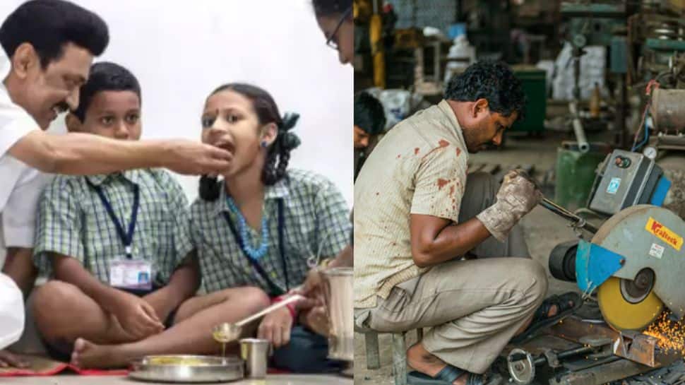 சமூக நலத்துறை மற்றும் MSME