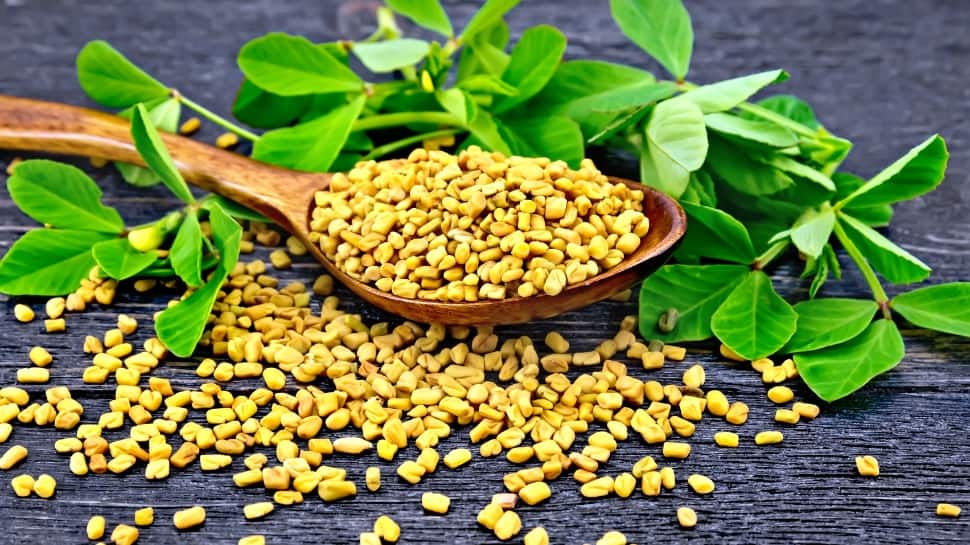 Fenugreek