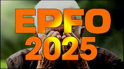 இபிஎஃப்ஓ (EPFO) அதிரடி மாற்றம்.. பிஎஃப் (PF) கணக்கு இருக்கா? இந்த தகவல் உங்களுக்கானது!