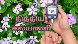 இன்சுலினை தூண்டி... நீரிழிவை நிமூலமாக்கும் நித்திய கல்யாணி... பிபிக்கும் அருமருந்து