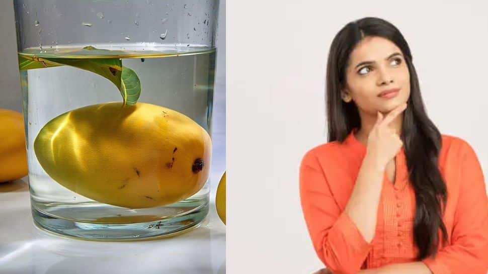 மாம்பழம் சாப்பிடும் முன் தண்ணீரில் ஊற வைக்க வேண்டும்! ஏன் தெரியுமா? மாம்பழம் சாப்பிடும் முன் தண்ணீரில் ஊற வைக்க வேண்டும்! ஏன் தெரியுமா?