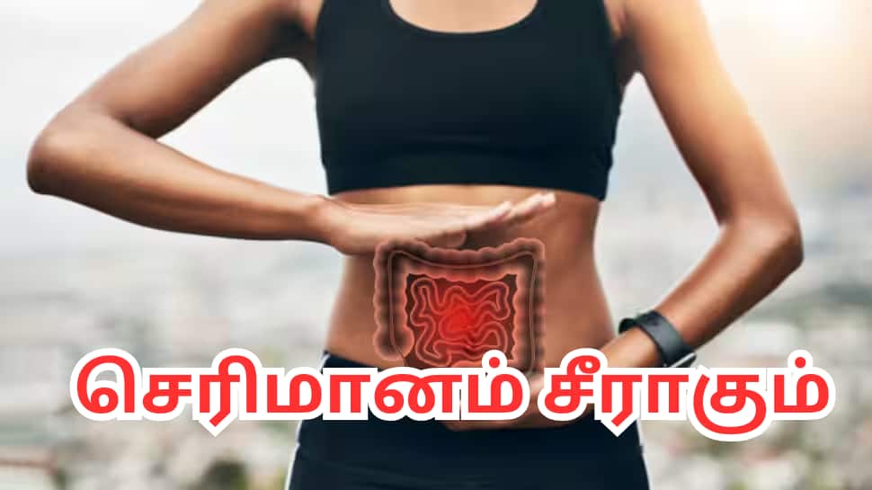 முருங்கை இலை நன்மைகள்