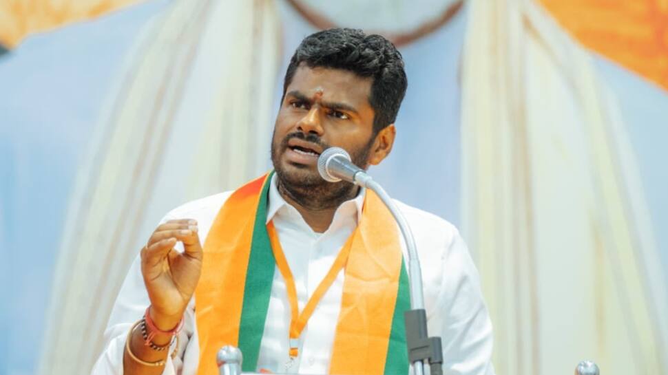 அமித்ஷா சென்னை வருகை ஏன்? தலைவர் மாற்றம் இருக்குமா? - அண்ணாமலை பதில்!