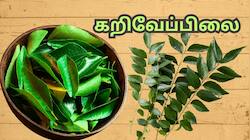 கொலஸ்ட்ரால் முதல் வெயிட் லாஸ் வரை... வெறும் வயிற்றில் 10 கறிவேப்பிலை போதும்