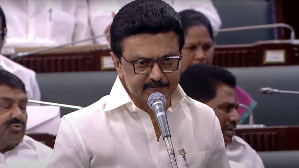 நீட் தேர்வு, நிதி பகிர்வு... முதல்வர் ஸ்டாலின் அமைத்துள்ள குழு ஏன் மிக முக்கியம்?