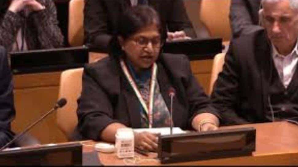 ஐ.நா.வில் மாஸ் காட்டிய இந்திய துணை தூதர்.. பாகிஸ்தான் அமைச்சருக்கு பதிலடி!