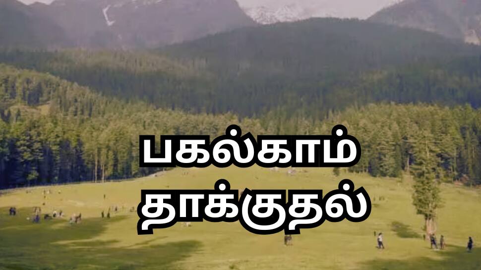 பகல்காம் மட்டுமில்லை... காஷ்மீரில் 3 இடங்களை நோட்டமிட்ட தீவிரவாதிகள் - ஷாக் தகவல்கள்!