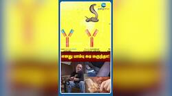 200 முறை பாம்பு கடித்தும் சாகவில்லை.... தப்பித்தது எப்படி?