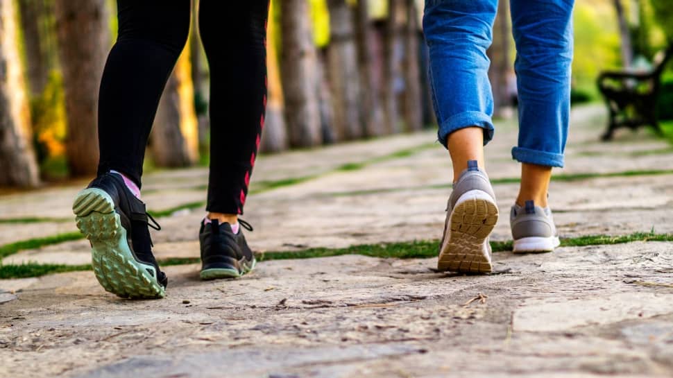 உடல் பருமன் குறைய தினம் அரை மணி நேர நடை போதும்... ஜப்பானியர்கள் டெக்னிக் இது தான்