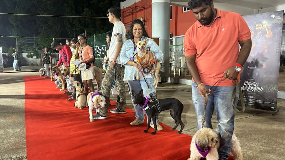 சென்னையில் நடைபெற்ற நாய்களுக்கான சிறப்பு Walkathan நிகழ்ச்சி!