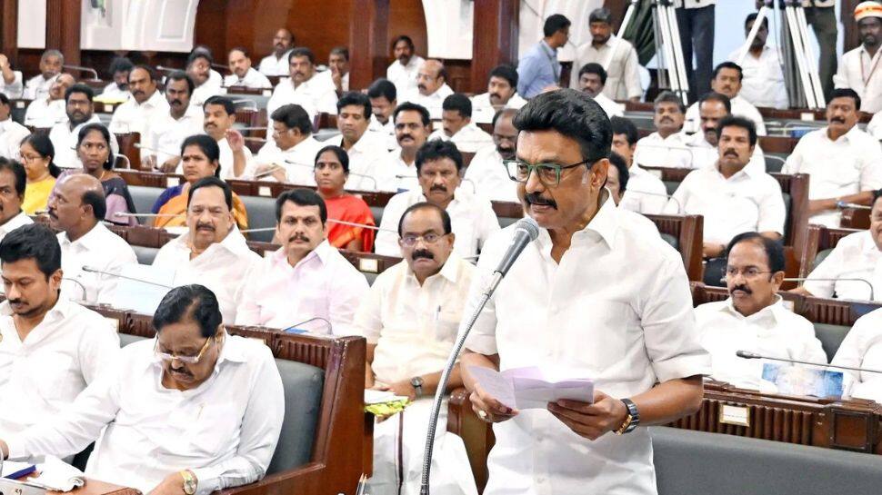 சென்னை உள்ளிட்ட பிற மாவட்ட பெண்களுக்கு குட்நியூஸ் -  தமிழ்நாடு அரசின் 3 முக்கிய அறிவிப்புகள்..!