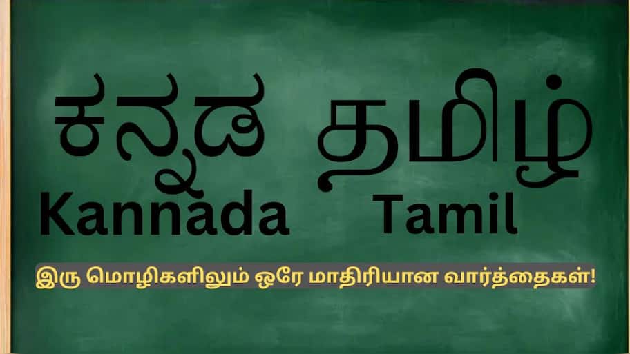 கன்னடம் தமிழில் இருந்து பிறந்ததா? இரண்டிலும் இருக்கும் ஒரே மாதிரியான வார்த்தைகள்..