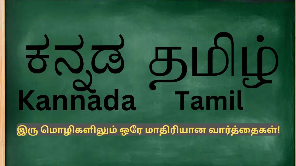 கன்னடம் தமிழில் இருந்து பிறந்ததா? இரண்டிலும் இருக்கும் ஒரே மாதிரியான வார்த்தைகள்.. கன்னடம் தமிழில் இருந்து பிறந்ததா? இரண்டிலும் இருக்கும் ஒரே மாதிரியான வார்த்தைகள்..