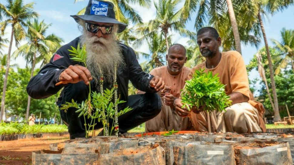 1.36 கோடி மரங்கள் நட்டு காவேரி கூக்குரல் இயக்கம் சாதனை! 1.36 கோடி மரங்கள் நட்டு காவேரி கூக்குரல் இயக்கம் சாதனை!