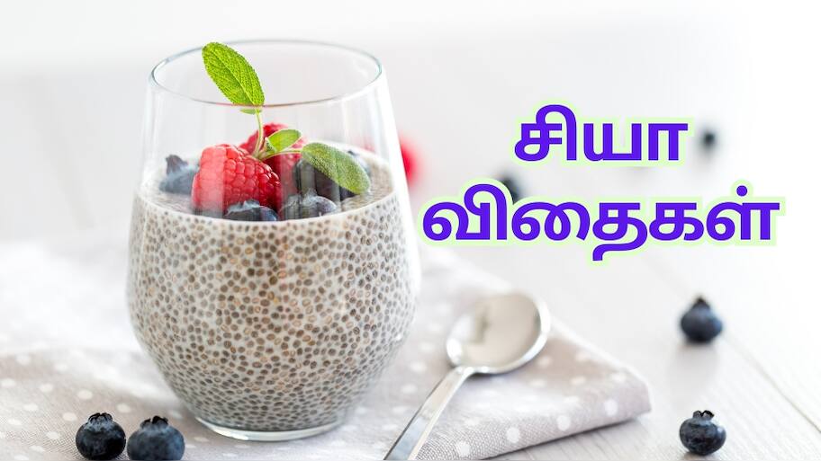 கொலஸ்ட்ரால் முதல் வெயிட் வாஸ் வரை... வியக்க வைக்கும் சின்னஞ்சிறு சியா விதைகள்