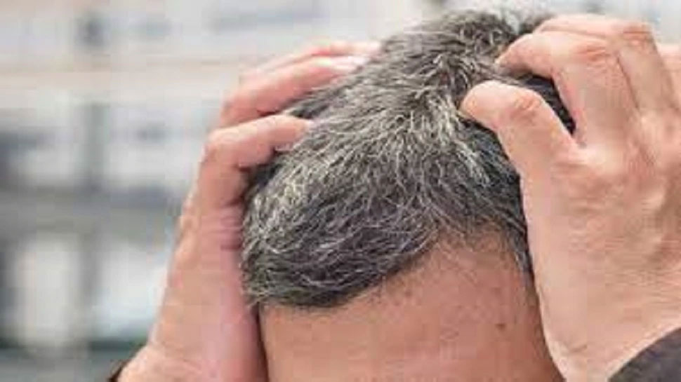 2 மணி நேரம் போதும்.. நரைமுடி நிரந்தரமா கருப்பாக்கலாம், இதை மட்டும் செய்யுங்கள் 2 மணி நேரம் போதும்.. நரைமுடி நிரந்தரமா கருப்பாக்கலாம், இதை மட்டும் செய்யுங்கள்