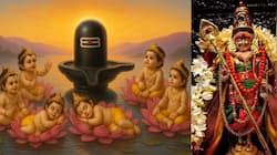 Vaikasi visakam: வேண்டிய வரத்தை அள்ளித் தரும் வைகாசி விசாக வழிபாடு