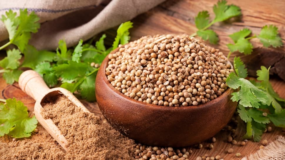 Coriander