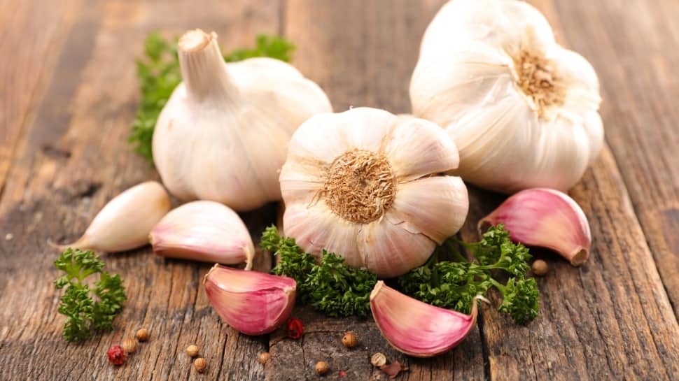 Garlic