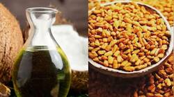 காடு போல் முடி வளர தேங்காய் எண்ணெயில் வெந்தயத்தைக் கலந்து தடவவும்