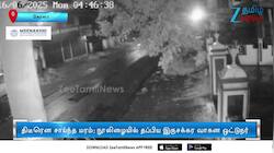 சாலையில் விழுந்த மரம்: நூலிழையில் உயிர் தப்பிய நபர்!