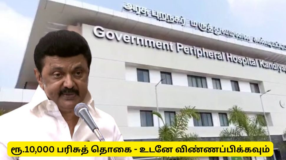 ரூ.10,000 பரிசுத் தொகை, பாராட்டுச் சான்றிதழ் அறிவித்த தமிழ்நாடு அரசு - யாருக்கு கிடைக்கும்? ரூ.10,000 பரிசுத் தொகை, பாராட்டுச் சான்றிதழ் அறிவித்த தமிழ்நாடு அரசு - யாருக்கு கிடைக்கும்?