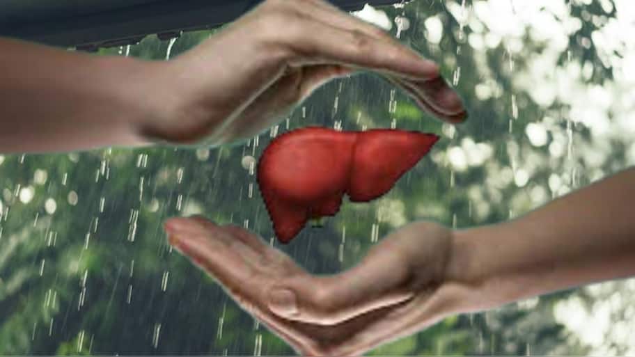 மழைக்காலத்தில் கல்லீரலை பாதுகாக்க உதவும் ஆரோக்கியமான உணவுகள் இவைதான்