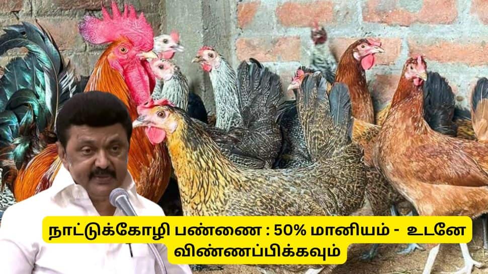நாட்டு கோழி பண்ணை : 50 சதவீத மானியம், பயனாளிகள் உடனே விண்ணப்பிக்கவும் - லேட்டஸ்ட் அறிவிப்பு