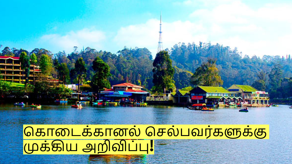 கொடைக்கானலில் இந்த இடத்திற்கு செல்ல தடை! வனத்துறை அறிவிப்பு! கொடைக்கானலில் இந்த இடத்திற்கு செல்ல தடை! வனத்துறை அறிவிப்பு!