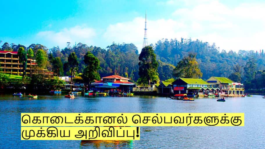 கொடைக்கானலில் இந்த இடத்திற்கு செல்ல தடை! வனத்துறை அறிவிப்பு!