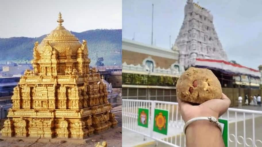 இனி திருப்பதியில் டக்குனு லட்டு வாங்கலாம்... தேவஸ்தானத்தின் புது ஐடியா - என்ன தெரியுமா?