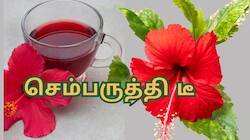 புற்றுநோய் முதல் இதய நோய் வரை... மருத்துவ குணம் நிறைந்த செம்பருத்தி டீ பலன் கொடுக்கும்