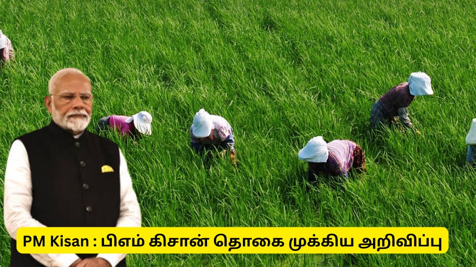 பிஎம் கிசான் 20வது தவணைத் தொகை : அரசின் முக்கிய அறிவிப்பு, இவர்களுக்கு கிடைக்காது பிஎம் கிசான் 20வது தவணைத் தொகை : அரசின் முக்கிய அறிவிப்பு, இவர்களுக்கு கிடைக்காது