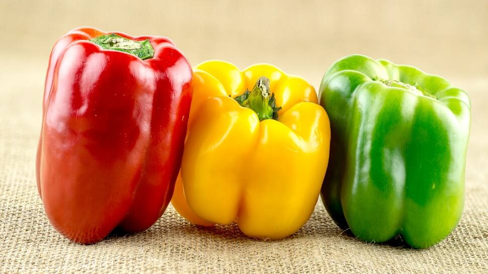 Capsicum