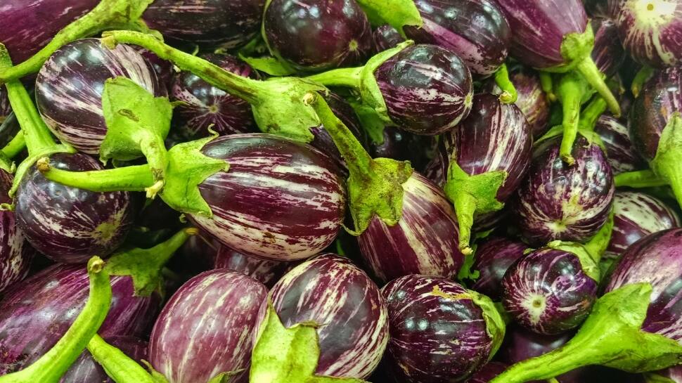 Brinjal
