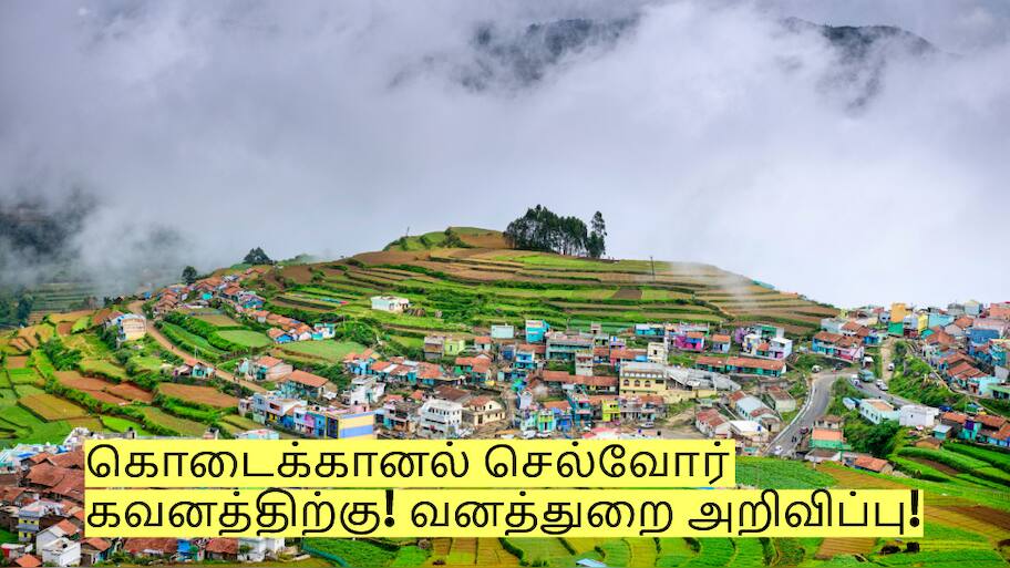 கொடைக்கானல் செல்வோர் கவனத்திற்கு - வனத்துறை முக்கிய அறிவிப்பு!