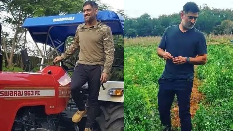 ஐபிஎல் தாண்டி விவசாயம் மூலம் தோனிக்கு எவ்வளவு வருமானம் தெரியுமா? ஐபிஎல் தாண்டி விவசாயம் மூலம் தோனிக்கு எவ்வளவு வருமானம் தெரியுமா?