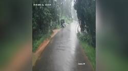 Watch கேரளா கோழிக்கோடு விபத்து வீடியோ காட்சிகள்