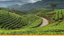 தேக்கடி மட்டுமல்ல... அதைச் சுற்றியுள்ள இந்த இடங்களும் பூவுலகின் சொர்க்கம் தான்