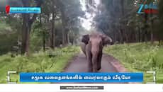 Viral Video: சுற்றுலா வாகனத்தைத் தாக்க வந்த  காட்டு யானையால் பரபரப்பு 