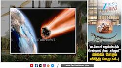 டைனோசர் எலும்புக்கூடும்; செவ்வாய் கிரக கல்லும்..! விலைப்போகும் விசித்திர பொருட்கள்..!