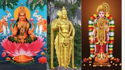 வாழ்க்கை வளங்கள் அனைத்தையும் பெற... ஆடியில் செய்ய வேண்டிய தானங்கள்