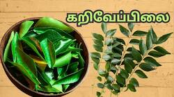 கொலஸ்ட்ரால் முதல் வெயிட் லாஸ் வரை... தினம் வெறும் வயிற்றில் 7 - 8 கறிவேப்பிலை போதும்