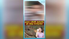 ஏன் முதலை கண்ணீர் வடிக்காதன்னு சொல்றாங்க தெரியுமா!
